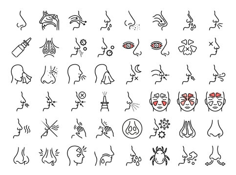 Medical sinus and nasal health icon set depicting common respiratory symptoms isolated on a white background for healthcare guidance.