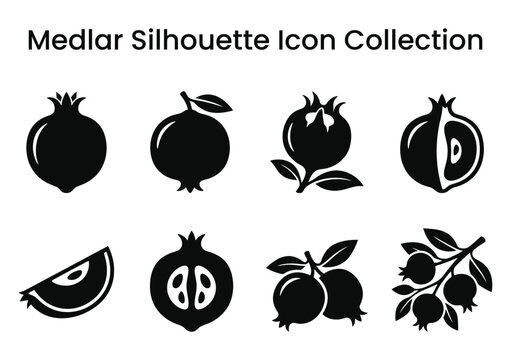 Medlar silhouette icon collection black and white fruit graphics for design projects