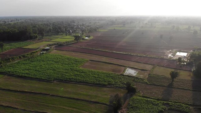 Drone view with the country farm as sugar cane, rubber tree and rice plantation the landscape. View of lush green paddy field and land for growing other plants during the  growing season in Thailand.