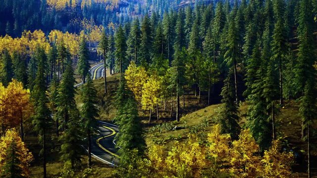 Colorful norwegian fall slope with birch and pine, vibrant yellow leaves contrasting dark conifers, soft sunlight accentuating textures and peaceful outdoors
