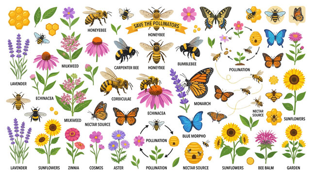 Butterflies and bees fly around colorful flowers and plants in a garden
