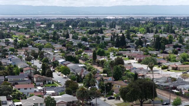 Palm-lined streets weave through dense Fremont neighborhood, single-story houses and mature trees stretch toward distant white salt ponds beneath hazy bay area hills. Aerial drone wide shot