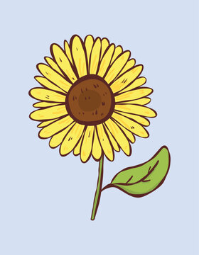 Charming single sunflower head with a green leaf tilting slightly to the right on a pastel purple-blue background. Ideal for classic country style decorations, floral stationery prints, and organic