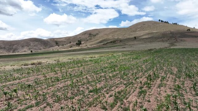 Scenic aerial drone footage of Puna, Bolivia. Captured in crisp 4K, this drone footage reveals the scene from a unique vantage.