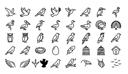 Bird species outline line icons set including dove flamingo owl nest cage and feather vector symbols © Begum
