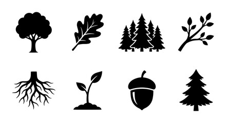 Nature icon set tree, leaf, acorn, roots outline, solid and color styles © pixpond