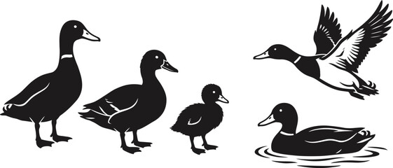 Obraz premium Collection of Duck and Duckling Silhouettes in Various Poses Vector
