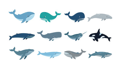 Educational ocean wildlife clip art collection with various cute whales orca and narwhal cartoon characters vector illustration isolated on white ©  AR Studio Company