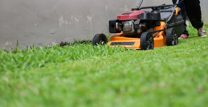 An orange engine-powered lawn mower being used to cut green grass in a backyard garden.