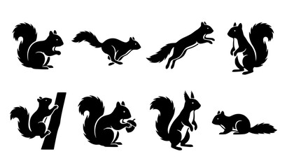 Obraz premium Black Squirrel Silhouette Vector Illustration Pack