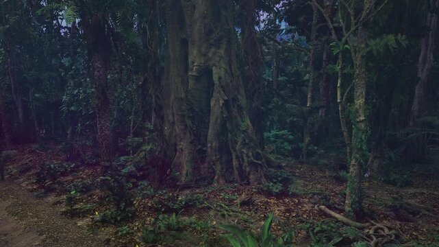 Moss covered trunks in dim forest, quiet atmosphere with thick canopy, dense undergrowth and exposed roots creating tranquil primal scene ideal for nature