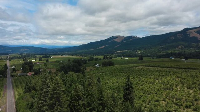 Rising flight over green landscape and fruit orchards in rural Oregon, cooper spur road