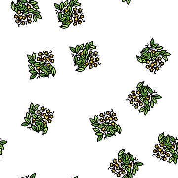bignonia capreolata vector seamless pattern bignonia capreolata sign illustration