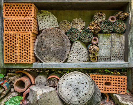 typical insect hotel