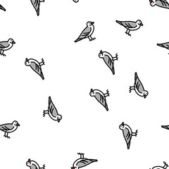 Fototapeta premium seagull bird vector seamless pattern seagull bird sign illustration