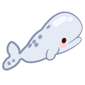 Gray beluga whale cartoon 