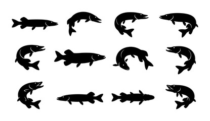 Obraz premium Pike Fish Silhouettes Collection, Freshwater Predator Vector Icons, Aquatic Wildlife Graphic Elements, Sport Fishing Symbols