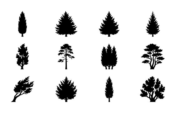 Diverse Evergreen Tree Silhouettes, Conifer and Deciduous Vector Icons, Nature Elements for Landscape Design and Forest Graphics