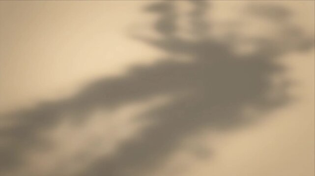 Shadow background luxury light overlay with soft leaf silhouette wall blur minimal aesthetic mood neutral beige abstract nature pattern for dreamy design and calming scene
