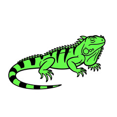 Fototapeta premium The Image Is A Digital Illustration Of A Green Iguana The Iguana Is Shown