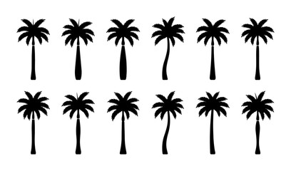 Obraz premium Palm Tree Silhouettes Collection, Tropical Vector Icons, Exotic Plant Graphics, Summer Vacation Elements