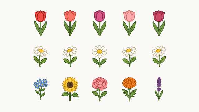 Assorted flower illustrations a flat vector design with colorful blooms and green stems flowers tulip daisy forget me not sunflower carnation