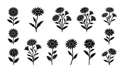 Fototapeta premium Black Silhouette Daisy Flower Vector Set, Botanical Floral Elements, Minimalist Garden Blooms, Decorative Nature Graphics
