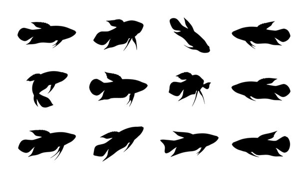 Betta Fish Silhouettes Collection, Siamese Fighting Fish Vector Icons, Aquatic Animal Graphics, Underwater Life Set, Black and White Marine Creature Illustrations
