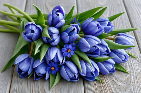 Blue tulips bouquet symbolizing spring and elegance