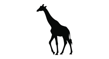Fototapeta premium Giraffe Silhouette Against A White Background A Minimalist Animal Shape Silhouette