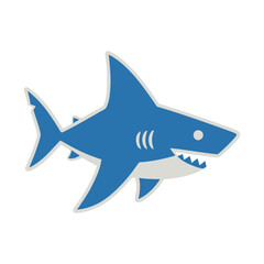 Fototapeta premium Blue shark illustration