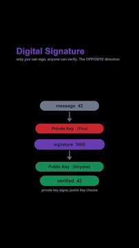 Digital Signature Cryptography Diagram Labeled Animated Overlay Alpha 4K Vertical 9x16 Light