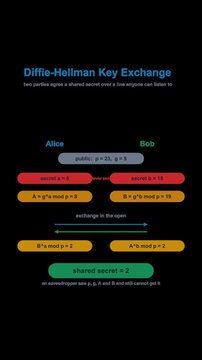 Diffie-Hellman Key Exchange Cryptography Diagram Labeled Animated Overlay Alpha 4K Vertical 9x16 Light