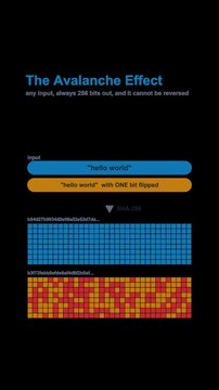 SHA-256 Avalanche Effect Cryptography Diagram Labeled Animated Overlay Alpha 4K Vertical 9x16 Light