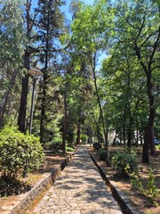 Fototapeta premium path in the park tivat
