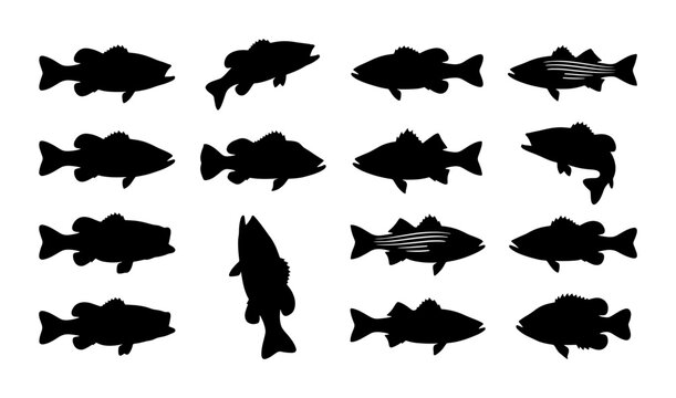 Silhouette Fish Icons Set, Aquatic Wildlife Vector Collection, Marine Life Graphics for Seafood and Fishing Concepts