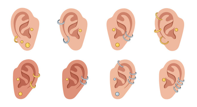 Multiple ear piercings with jewelry.