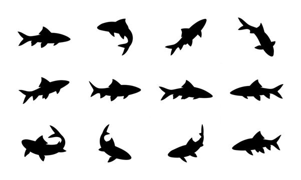 Shark Silhouettes Collection, Marine Life Icons, Ocean Predators Vector Set, Aquatic Animal Graphics, Underwater Danger Symbols