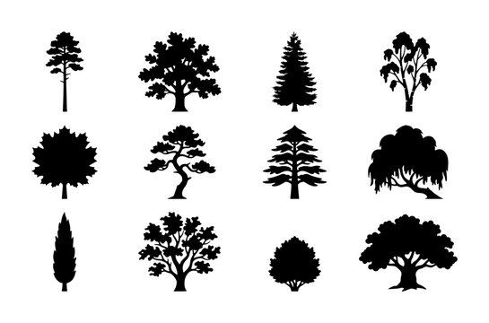 Diverse Tree Silhouettes Collection, 12 Vector Icons for Nature and Landscape Design, Black and White Botanical Elements