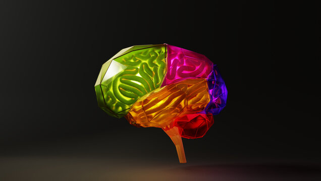 Colorful 3D render glass brain lobes representing abstract neuroscience concept, creativity and cognitive function