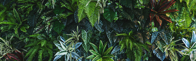 Obraz premium Full Frame of Green Leaves Pattern Background, Nature Lush Foliage Leaf Texture, tropical leaf