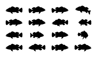 Fototapeta premium Black Silhouette Fish Collection, Aquatic Life Icons, Marine Animal Graphics, Underwater Wildlife Vector Set