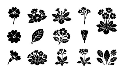 Obraz premium Botanical Primrose Flower Vector Icons Set, Delicate Floral Silhouettes for Spring Designs, Garden Plant Illustrations, Vintage Botanical Art