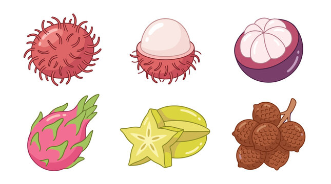 Set of tropical exotic fruits including rambutan, mangosteen, dragon fruit, starfruit, and longan for culinary icons and healthy food menu designs