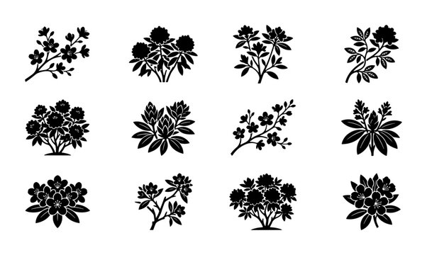 Botanical Vector Icons: Rhododendron & Azalea Silhouettes, Floral Branch Illustrations, Decorative Plant Elements for Nature Design