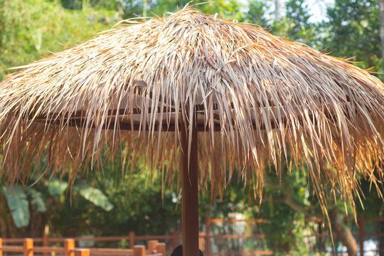 Close up of a traditional tropical thatch umbrella made of dried leaves with a green nature background.