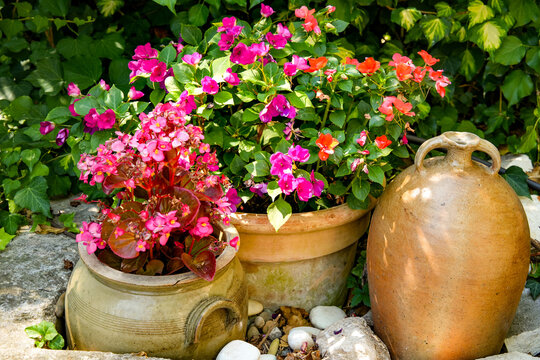 A summery arrangement featuring flowering potted plants and rustic garden decor. A pink-flowering Begonia, a colorful mix of impatiens, and a decorative amphora