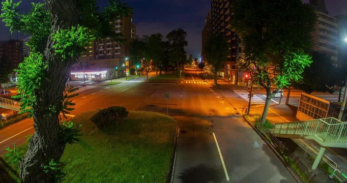 Sapporo Night Traffic Light Trails Timelapse: Long Exposure City Street with Overpass and Trees, Hokkaido, Japan - Wide Angle Shot