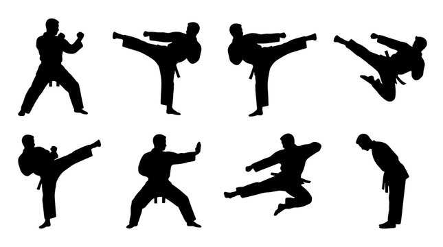 Set of martial arts silhouettes demonstrating karate kicks and stances, high contrast black figures on white background, dynamic action poses