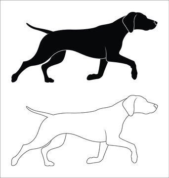 Pointer dog running side profile silhouette and outline vector set, hunting hound breed in active galloping motion, sporting pet clip art graphics for canine, outdoor and wildlife themed design.